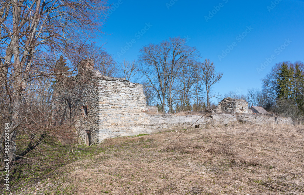 ruins of estonian manor