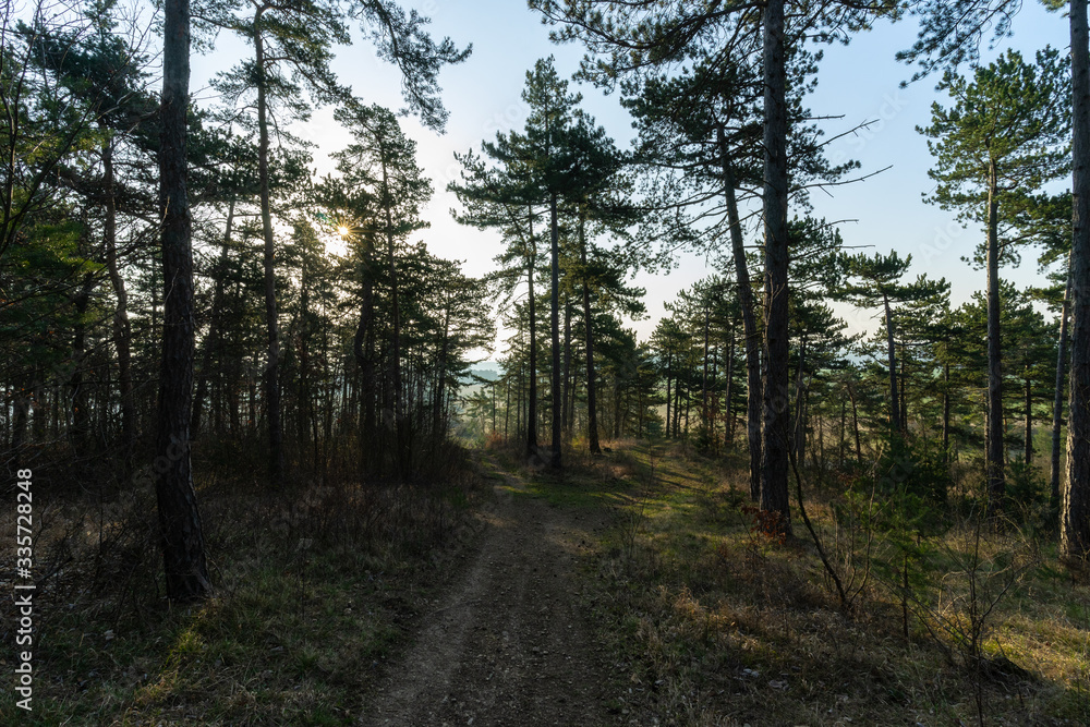 Fototapeta premium Landschaft im Frühling