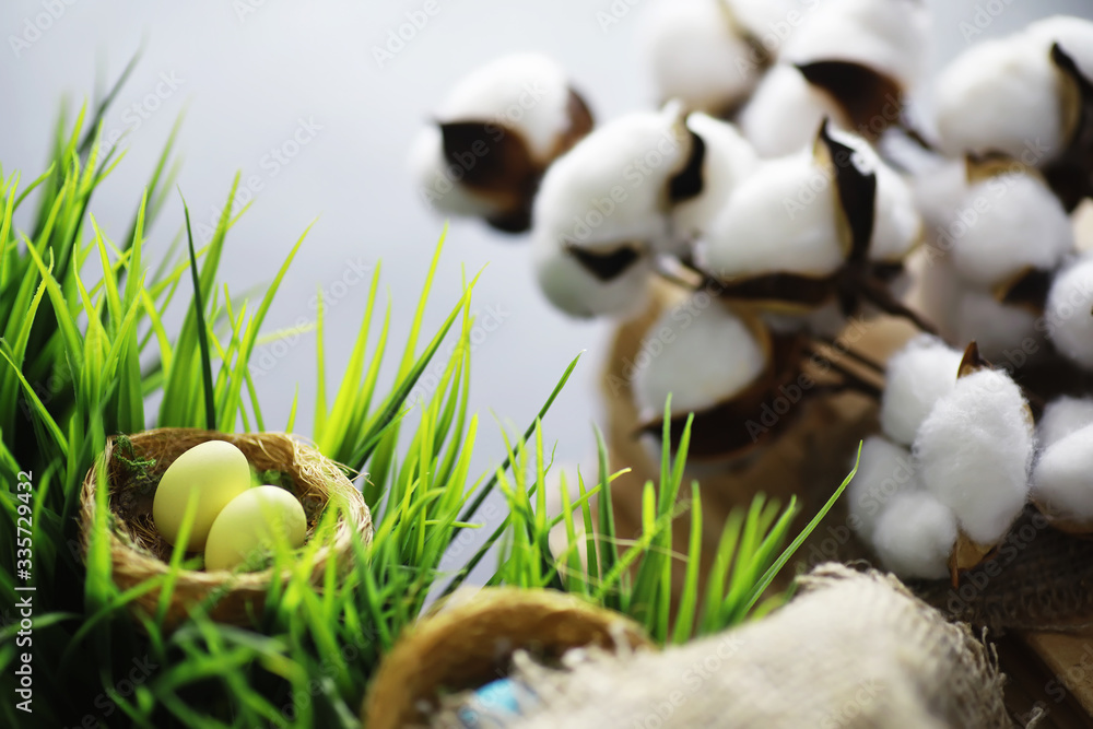 Obraz premium Bird's nest with eggs. Willow branches and first greens. Easter background. Palm Sunday. Christian holiday. Spring background.
