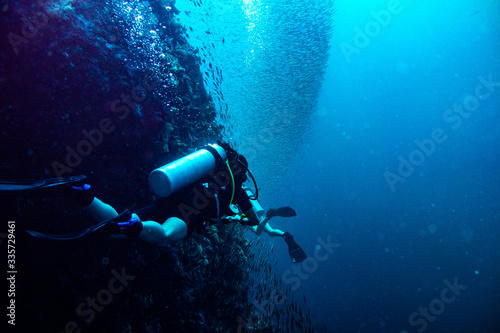Couple scuba diver in the sea with fish schools © Adrien