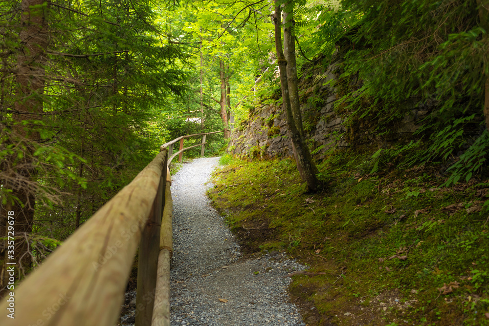 Path with wooden railing in the forest Path with wooden railing in the forest