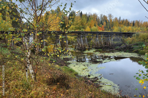 Moody autumn forest along the shores of a calm lake. Bad weather and dampness of the end of September in Russia.
