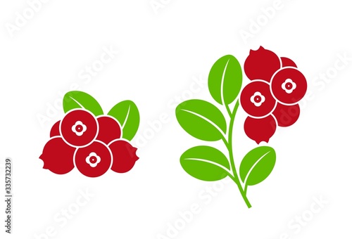 Cranberry logo. Isolated cranberry on white background