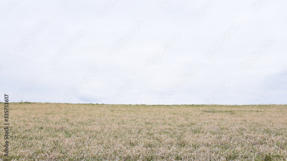 Obraz premium 野原