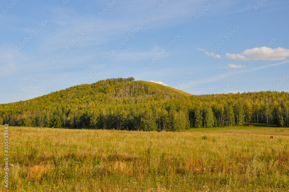 Soft landsсape with yellow meadows and forests far away. Light blue sky. Fall fields Soft landsсape with yellow meadows and forests far away. Light blue sky. Fall fields