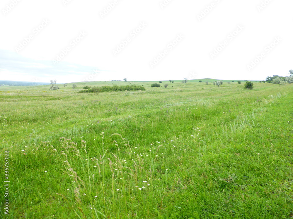 View of the Green field to the horizon View of the Green field to the horizon