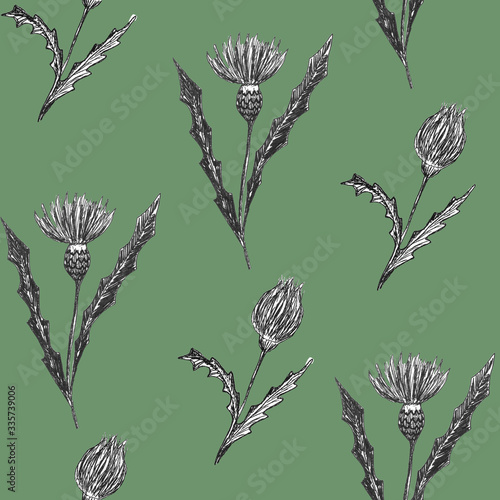 Seamless botanical pattern isolated on a simple background. Outline illustration of thistle flower. Good for textile  wrap  paper and card design.