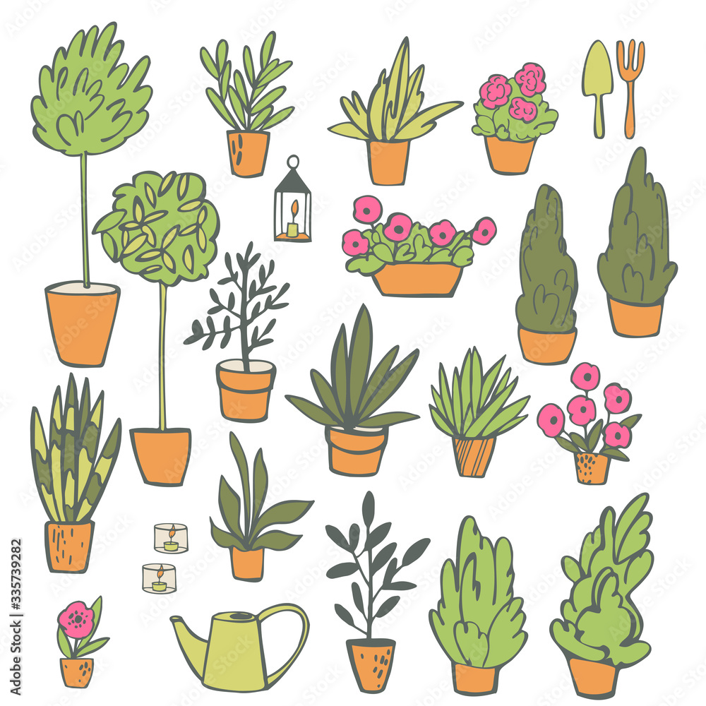 Hand drawn house plants. Vector sketch illustration. Hand drawn house plants. Vector sketch illustration.