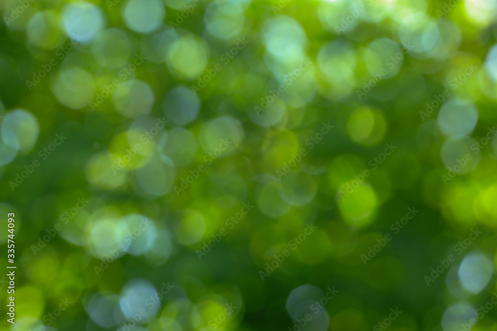 Fototapeta premium green bokeh abstract background