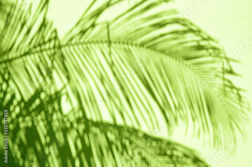 Abstract background of shadows of palm trees fluttering across a bright tropical green wall