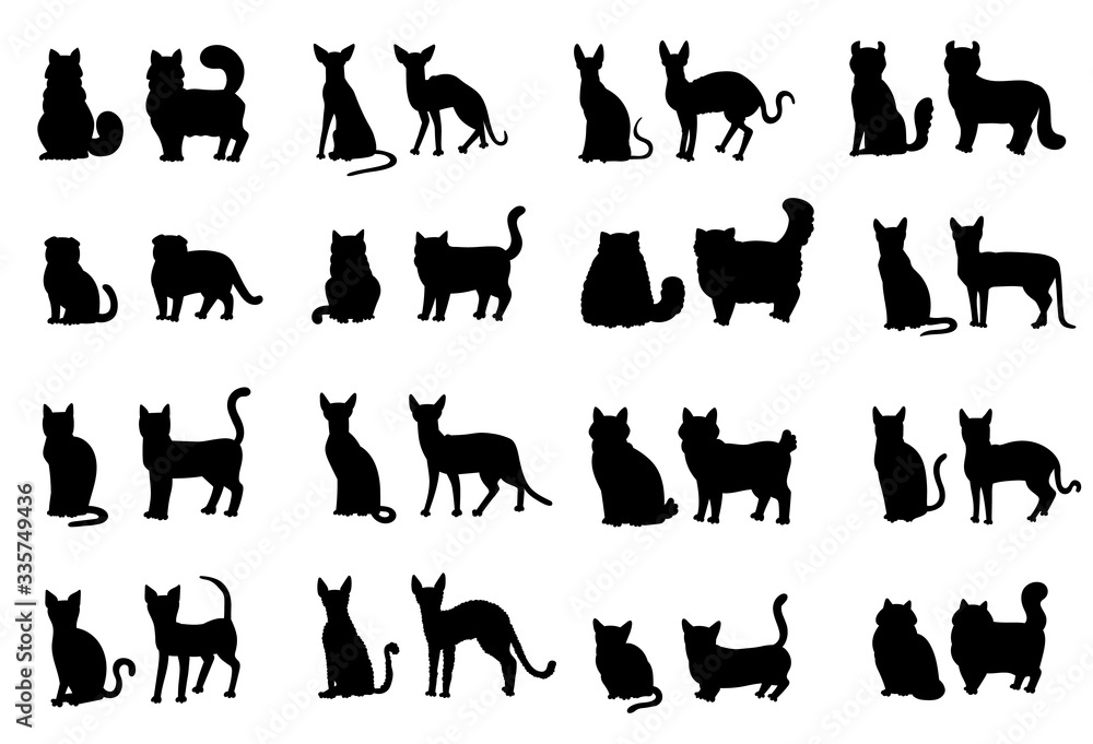 Silhouette cat face and profile. Vector set breeds contour isolated illustration.