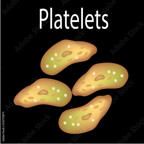 The structure of platelets. Platelets are a blood cell. Infographics. Vector illustration on isolated background.