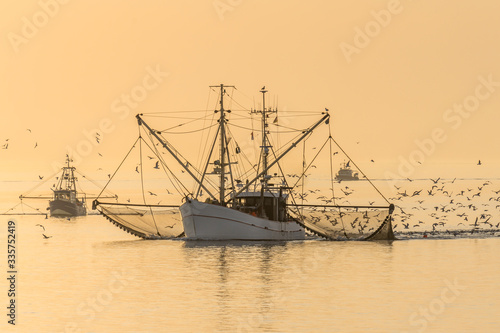 Fischkutter mit ausgelegten Netzen und Schwarm von Seemöwen bei Sonnenuntergang, Nordsee, Nationalpark Schleswig-Holsteinisches Wattenmeer, Schleswig-Holstein, Deutschland