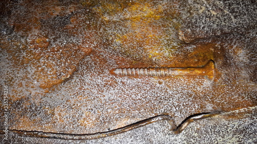 rusty screw and iron wire