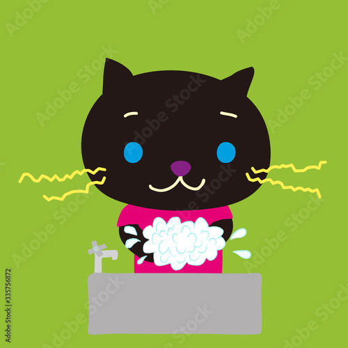 手を洗うかわいいこねこ
A cute little cat washing hands