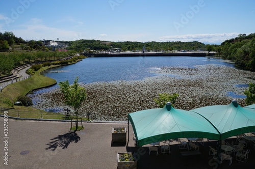 It is a photograph of EXPO 2005 Aichi Commemorative Park.
Nickname is Morikoro Park.