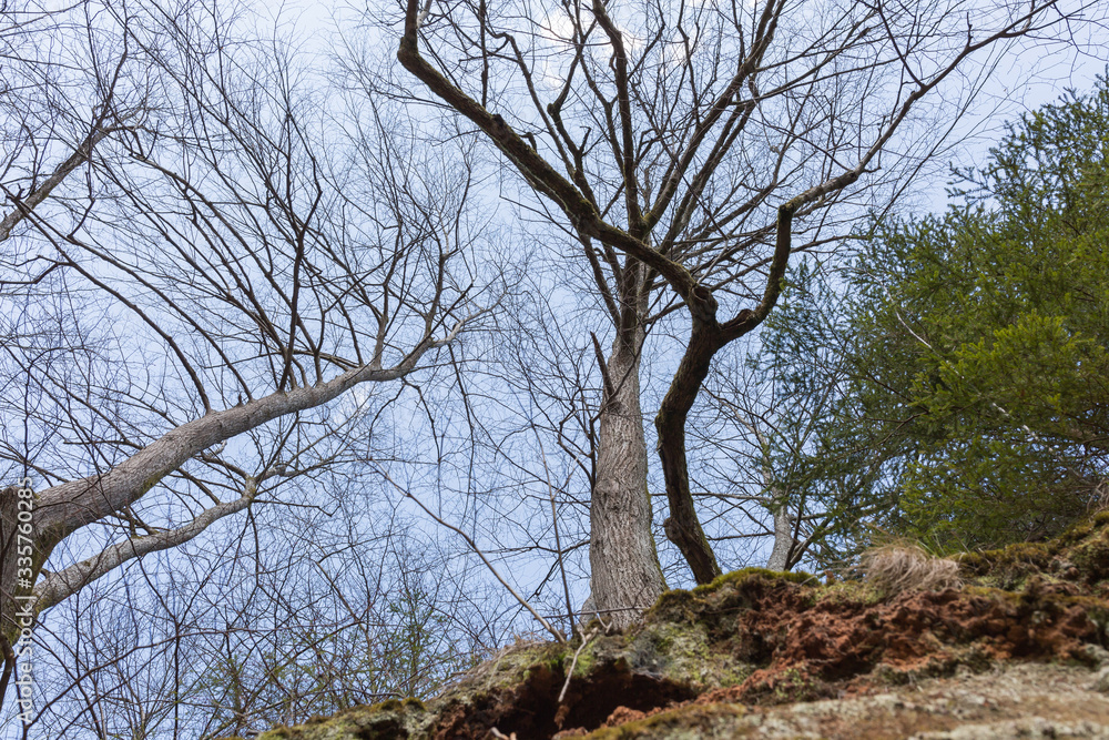 City Sigulda, Latvia. Historic sand cliffs and trees. Travel photo. City Sigulda, Latvia. Historic sand cliffs and trees. Travel photo.