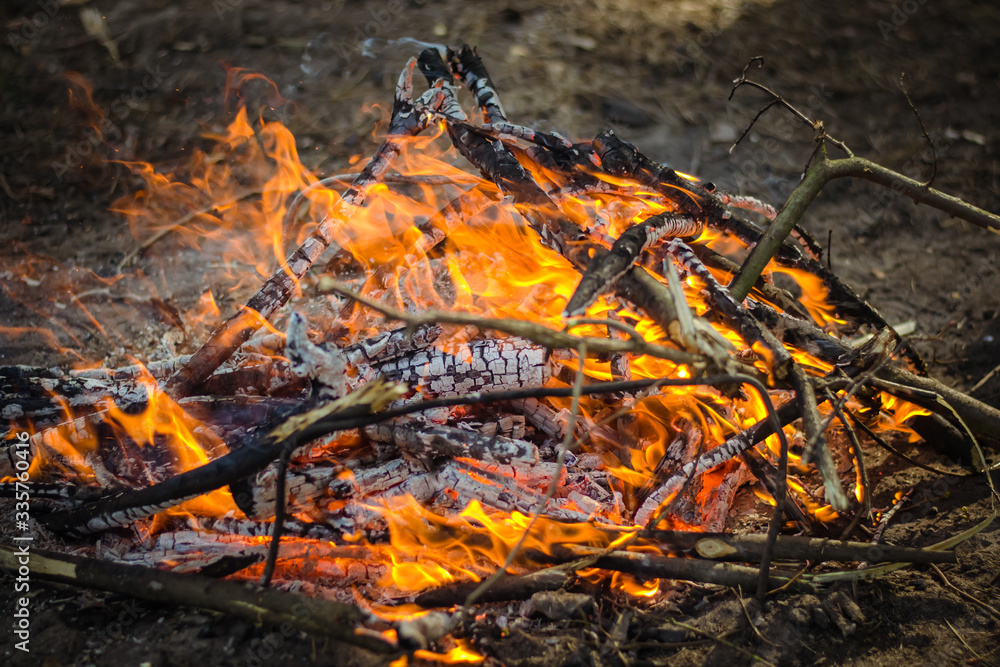 Bonfire in the forest. Burning fire. Ignite the fire. Macro shot of bonfire, white smoke, hot, glowing coal and fire. Burning branches and wood. Warmth, love, romantic. Spring cleaning, picnic. Bonfire in the forest. Burning fire. Ignite the fire. Macro shot of bonfire, white smoke, hot, glowing coal and fire. Burning branches and wood. Warmth, love, romantic. Spring cleaning, picnic.