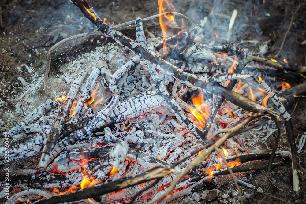 Bonfire in the forest. Burning fire. Ignite the fire. Macro shot of bonfire, white smoke, hot, glowing coal and fire. Burning branches and wood. Warmth, love, romantic. Spring cleaning, picnic. Bonfire in the forest. Burning fire. Ignite the fire. Macro shot of bonfire, white smoke, hot, glowing coal and fire. Burning branches and wood. Warmth, love, romantic. Spring cleaning, picnic.