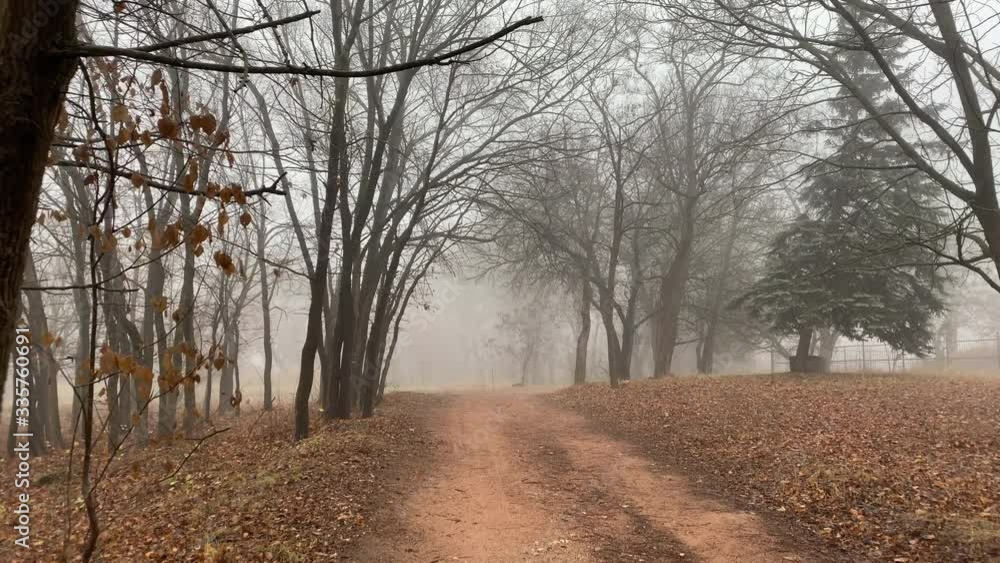 Empty foggy footpath in the autumn park on a cloudy day.