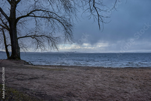 Tableau sur toile In the foreground the seashore and trees, in the background the sea in bad weat