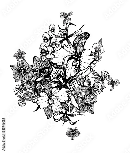 vector illustration of a orchids background