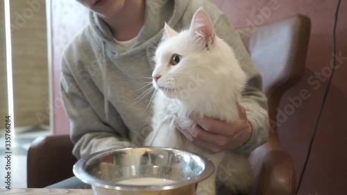 
young man communicates in a messenger on a laptop. guy with a cat looks at the laptop screen. person communicates on social networks. happy man with his pet.