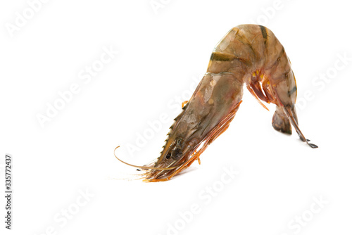 shrimp isolated © ksena32
