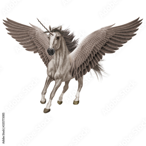 cheval  animal  en vol  volant  licorne  isol    gris    talon  mammif  re  course    galop  sauvage  chevalin  amoureux des chevaux  courir  ferme  crin  silhouette  nature  poney  dalmate  animal de co