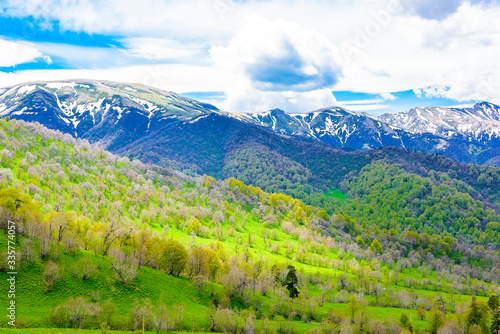 Beautiful mountain panorama with lush greens, blue skies, and puffy clouds