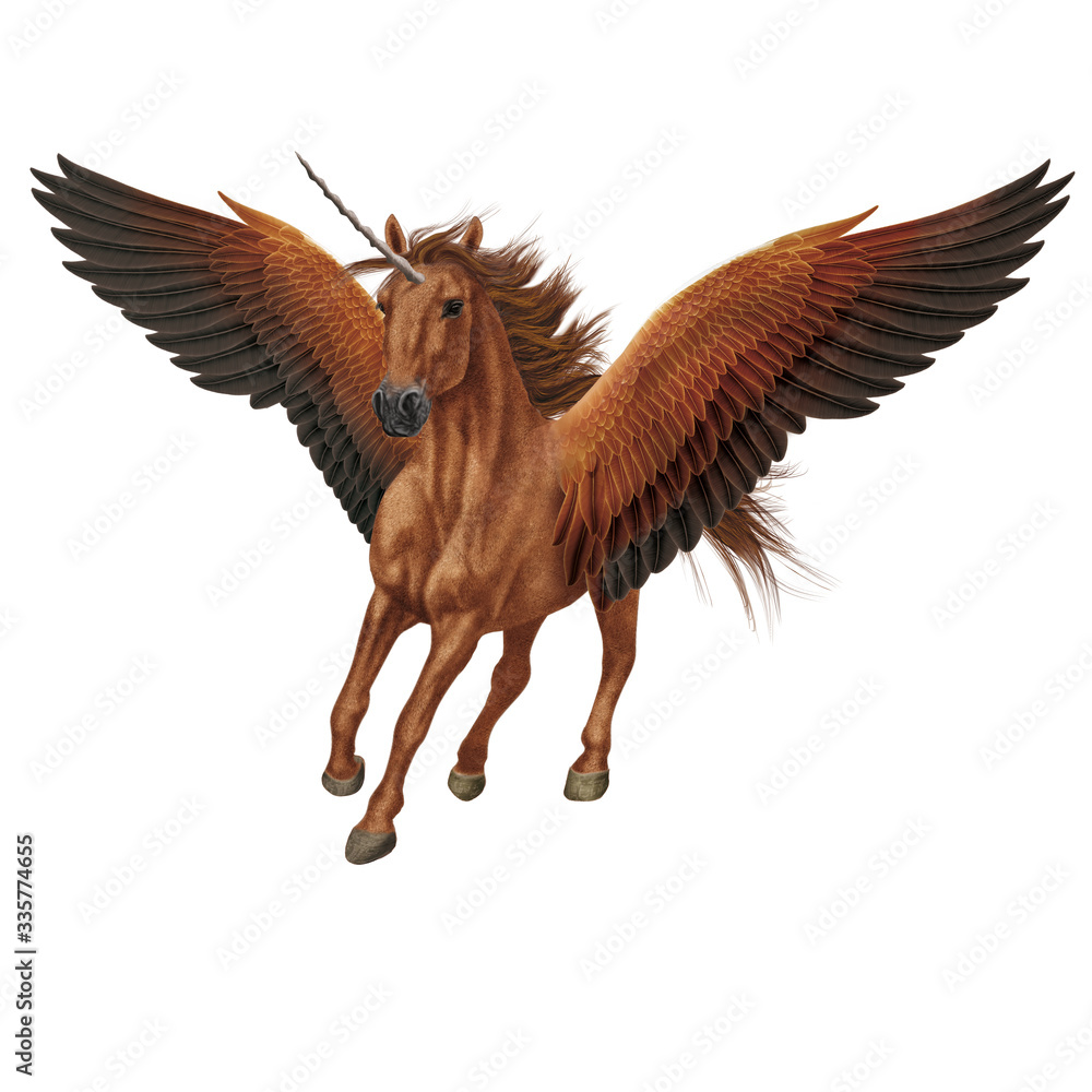 Obraz premium cheval, animal, en vol, volant, licorne, isolé, roux, robe rare, spécial, original, étalon, mammifère, course, , galop, sauvage, chevalin, amoureux des chevaux, courir, ferme, crin, silhouette, natur