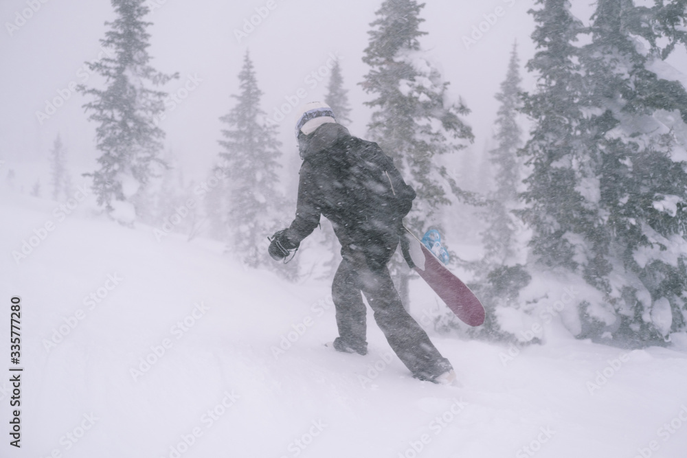Snowboarder holding boards walking down the snow slop for freeride in winter mountains during heavy snow and blizzard