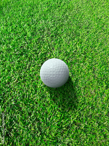 Golf club and ball on the green course. Close up. Top view. Sport, relax, recreation and leisure concept