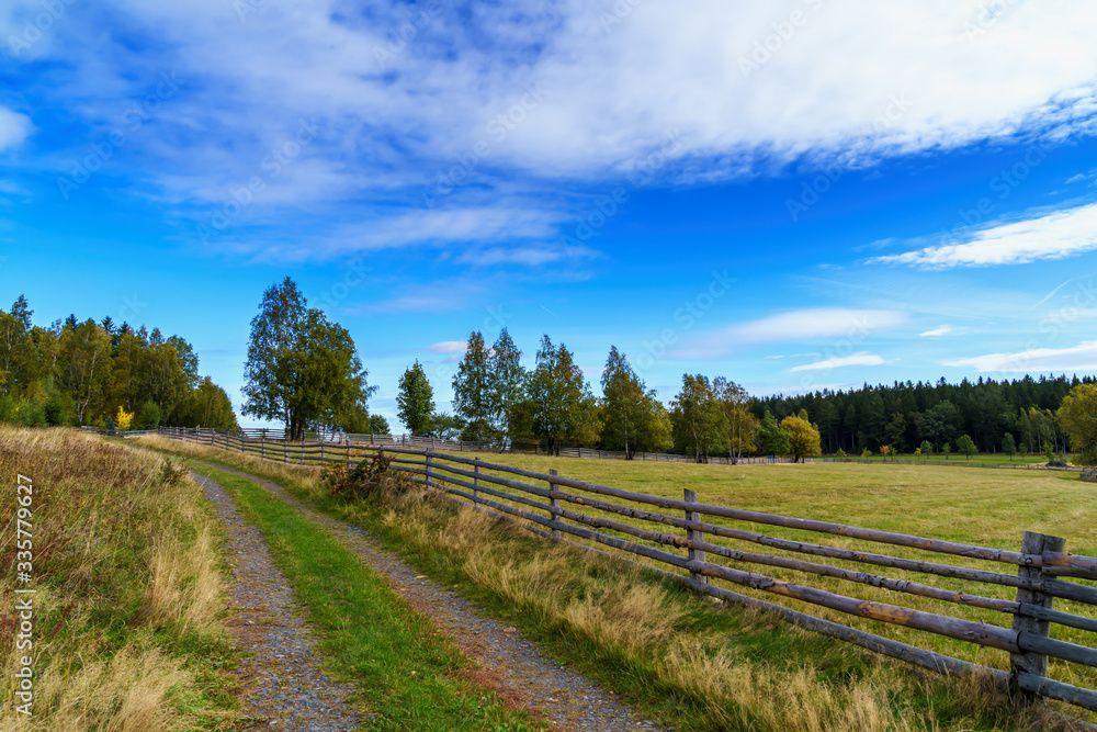 Obraz premium Wiejska droga