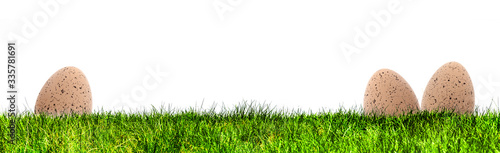 Braune Eier in einer Grünen Wiese Banner