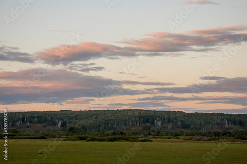 Sundown and sunrises. Silhouettes of trees on the background with bright purple sky and much clouds. Cultivated field