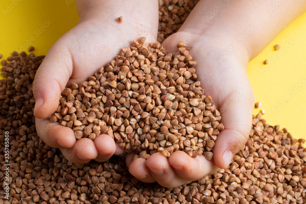 kids Hands holding buckwheat groats on yellow background kids Hands holding buckwheat groats on yellow background
