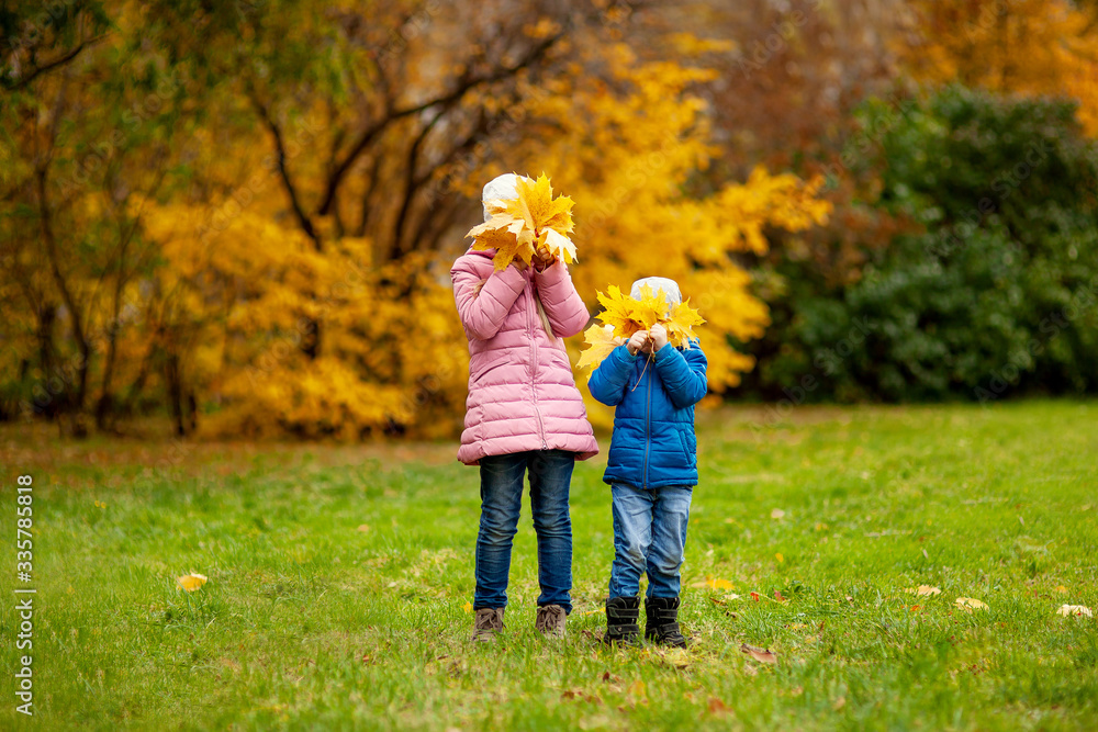Fototapeta premium Adorable little girl and boy outdoors at beautiful autumn day