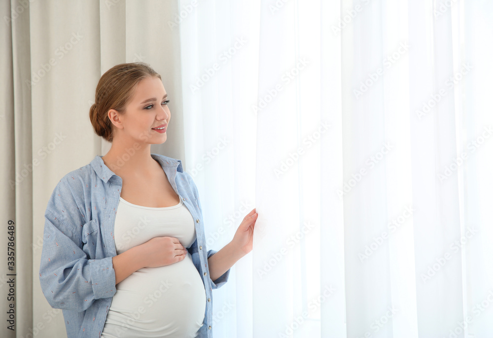 Young pregnant woman near window at home. Space for text Young pregnant woman near window at home. Space for text