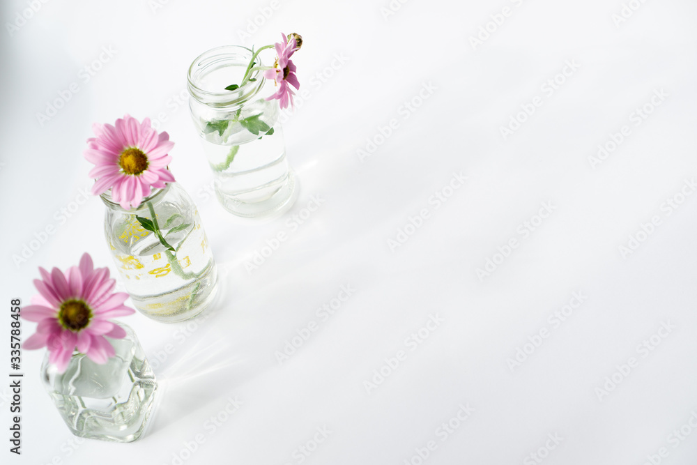 Obraz premium Floral still life with glass vases on a sunny white background.