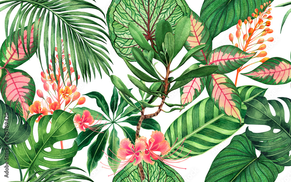 Watercolor Painting Colorful Tropical Palm Leaf Green Leaves Seamless Pattern Background Watercolor Hand Drawn Illustration Tropical Exotic Leaf Prints For Wallpaper Textile Hawaii Aloha Jungle Style Stock イラスト Adobe Stock Watercolor Painting Colorful Tropical Palm Leaf Green Leaves Seamless Pattern Background Watercolor Hand Drawn Illustration Tropical Exotic Leaf Prints For Wallpaper Textile Hawaii Aloha Jungle Style Stock イラスト Adobe Stock