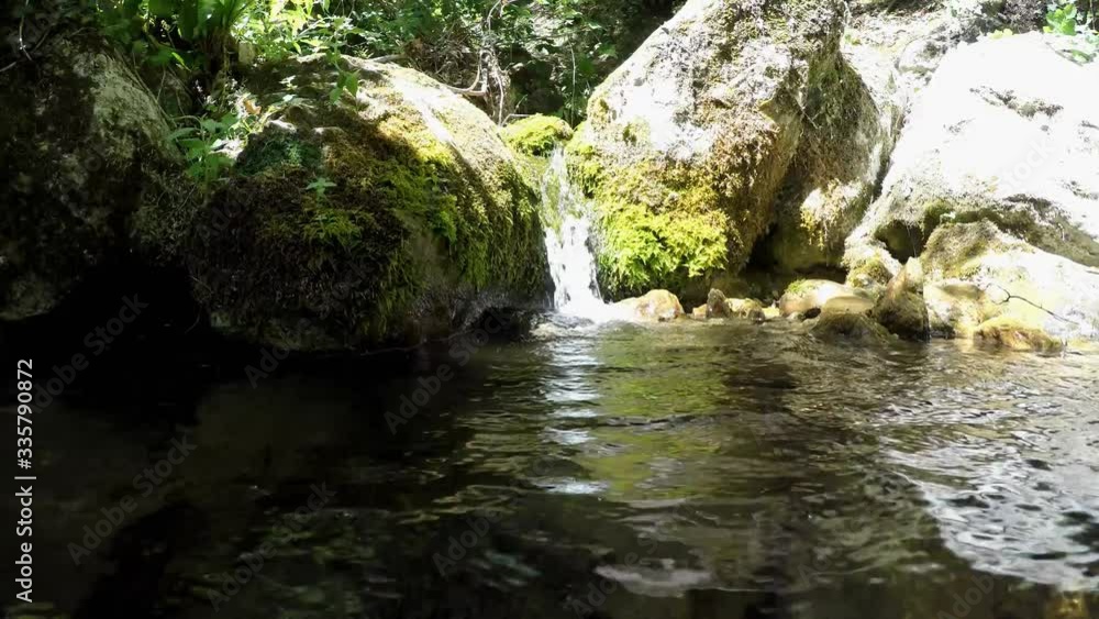 Waterfall in a stream with moss and aquatic plants Waterfall in a stream with moss and aquatic plants