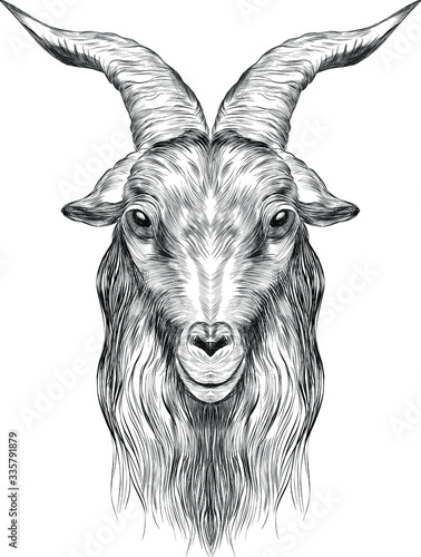 goat head black and white sketch coloring book portrait with horns profile bar graph symmetry vector illustration photo