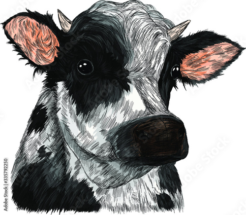 cow kind animal farm animal advertising milk  black and white   vector illustration