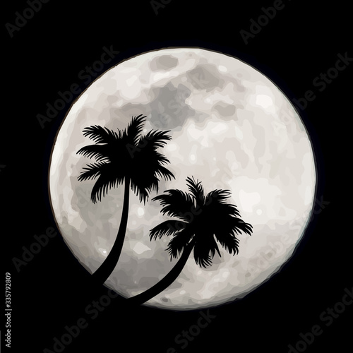 Vector illustration of palm tree on moon background. Symbol of night and universe.