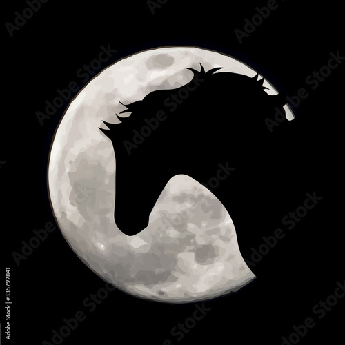Vector silhouette of horse on moon background. Symbol of night.