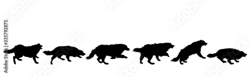 Collection of vector silhouette of dog on white background. Symbol of animal.