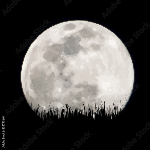 Vector silhouette of grass with moon background. Symbol of night.