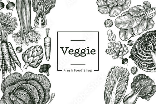 Hand drawn sketch vegetables design. Organic fresh food vector banner template. Retro vegetable background. Engraved style botanical illustrations.