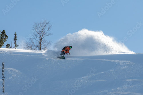 A snowboarder making a powder turn in deep snow on a forest meadow on a sunny morning